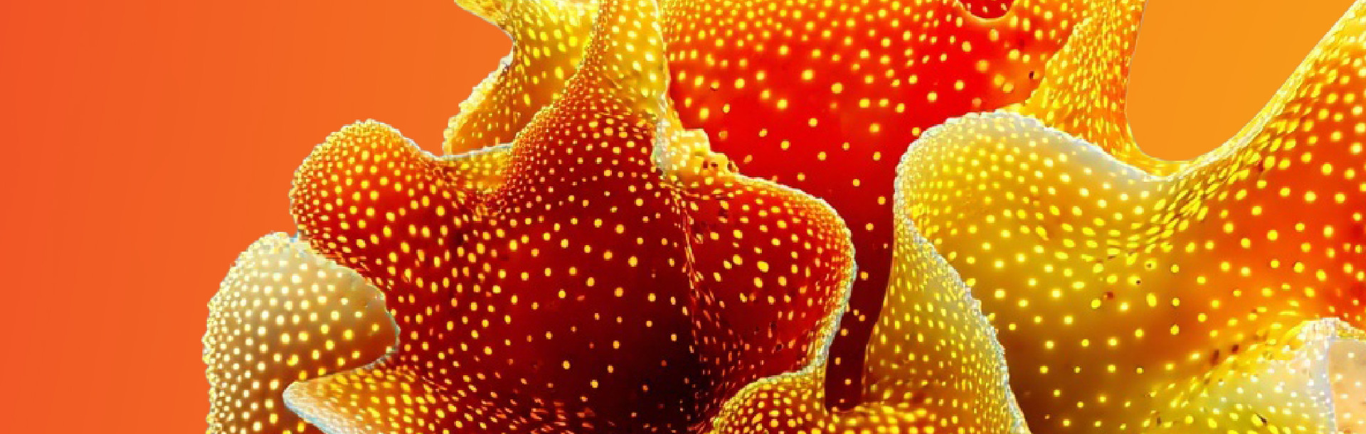 COMMED I A partner di Cloud AI Live Roma