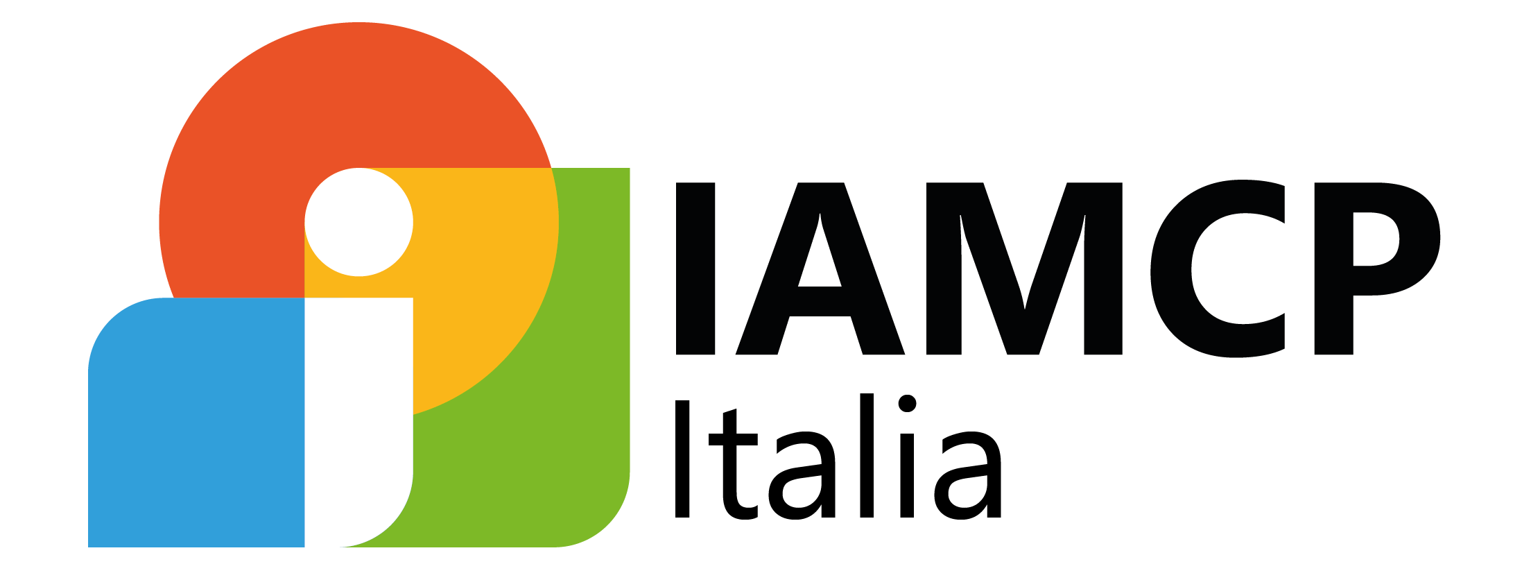 Partner Microsoft IAMCP