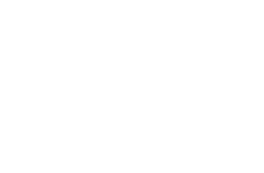 Logo microsoft partner bianco