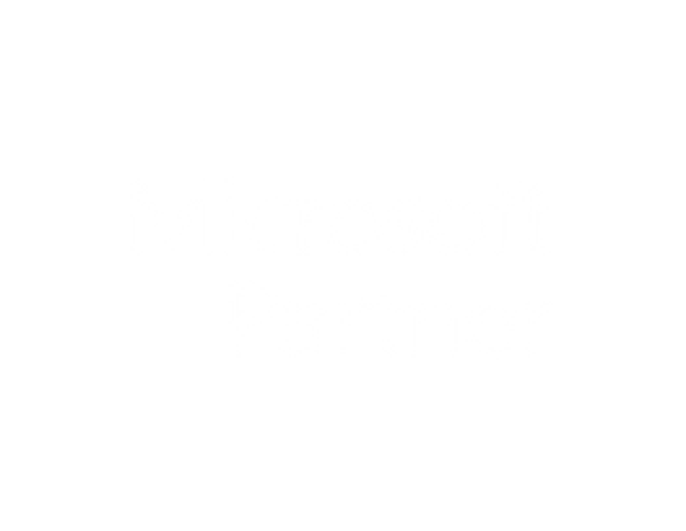 logo microsoft partner bianco