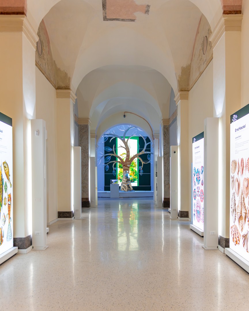Foto dell'ingresso del demo center