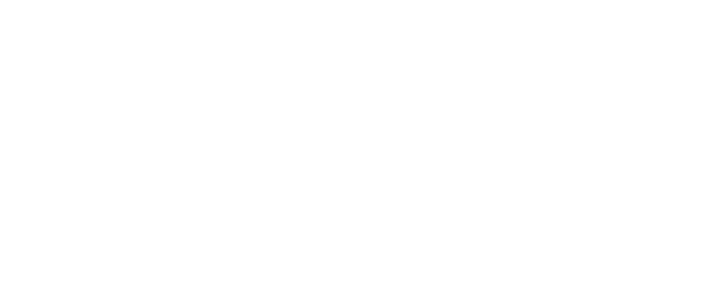 LOGO HEVOLUS