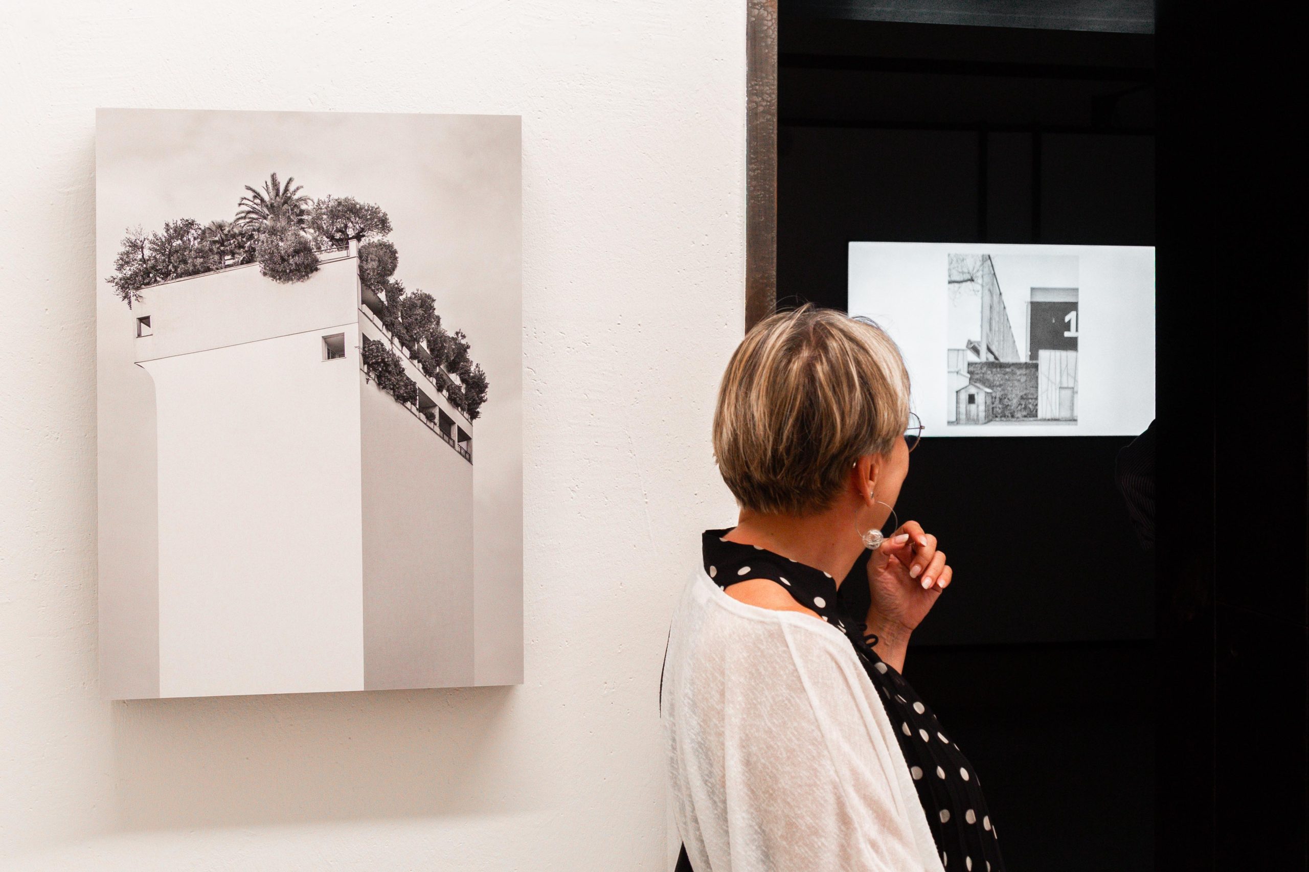 visitatrice fondazione biscozzi