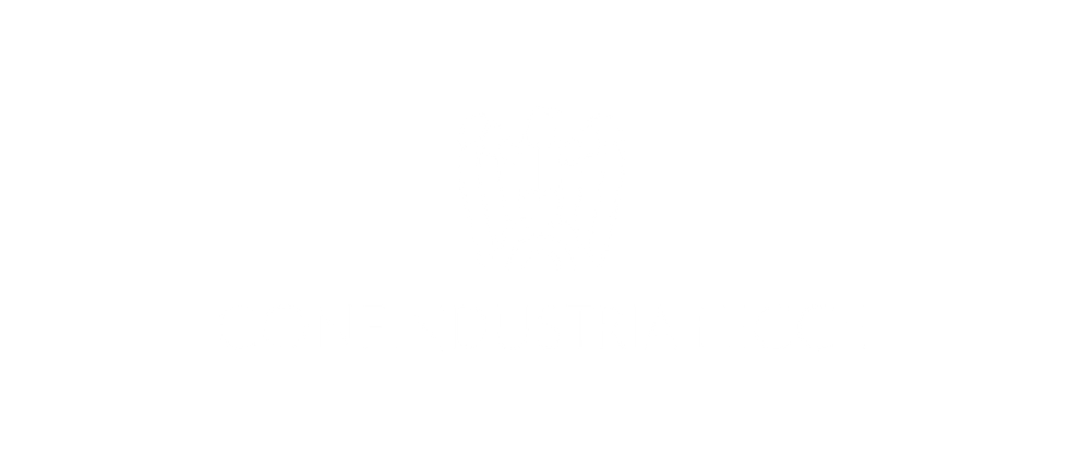 logo confindustria lecce