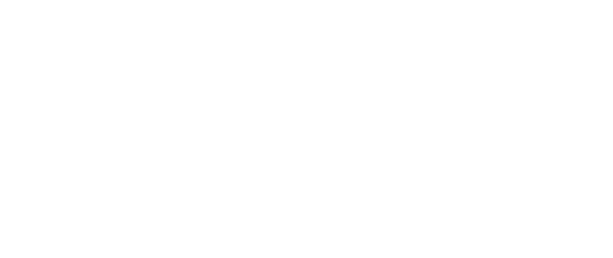Logo Vivosa in versione bianca