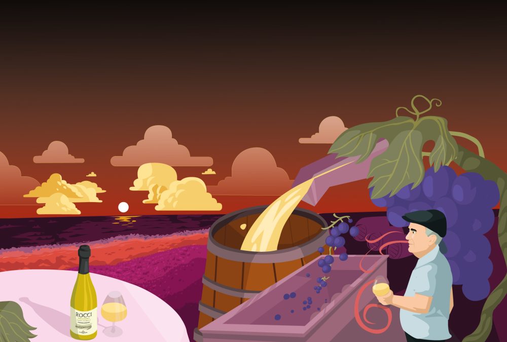 illustrazione cantina coppola