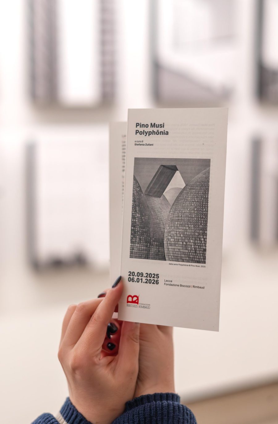 dettaglio brochure mostra pino musi